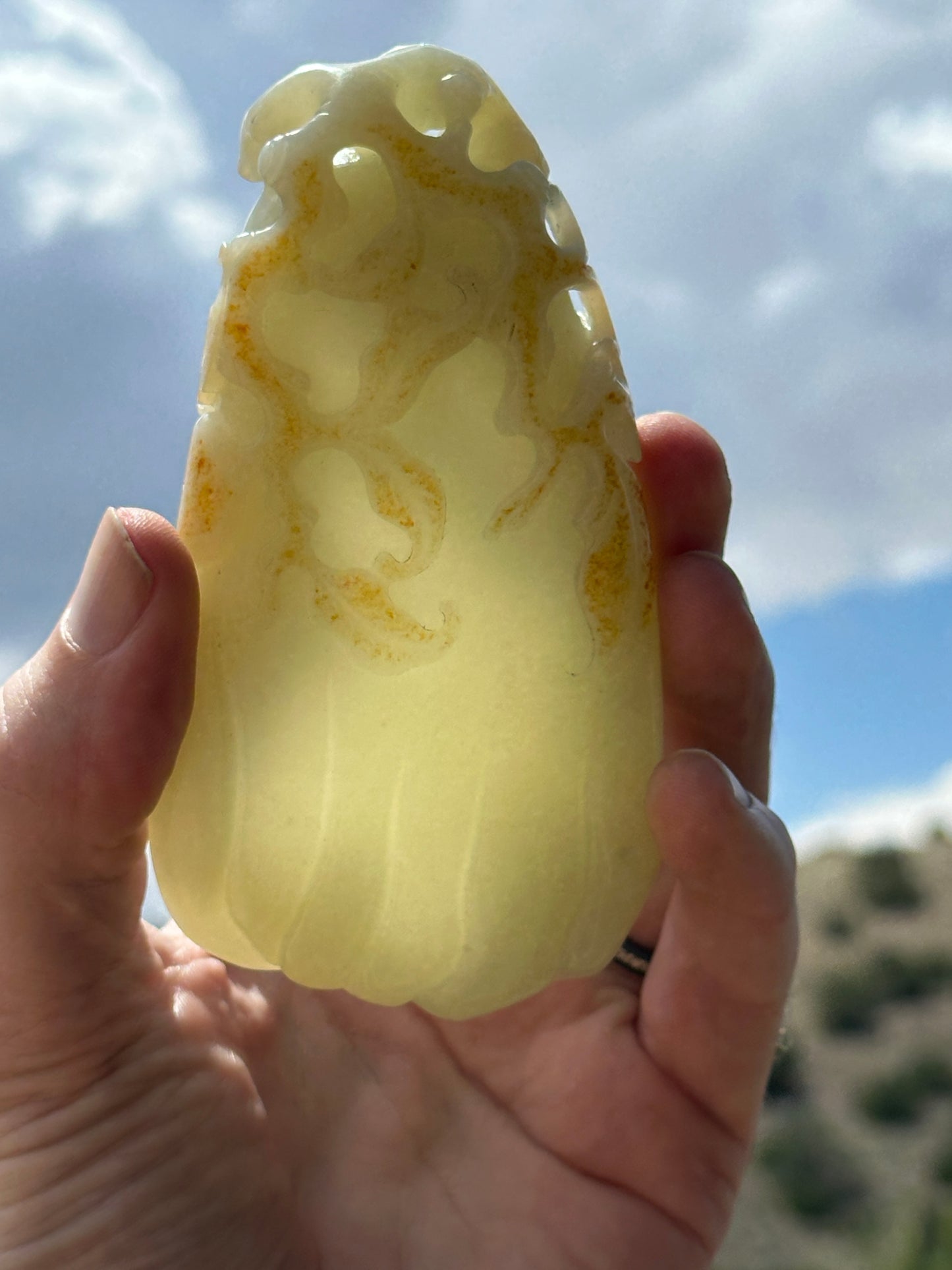 Antique Chinese Qing White Hetian Jade Finger Citron Scholar Brushwasher DOYLE