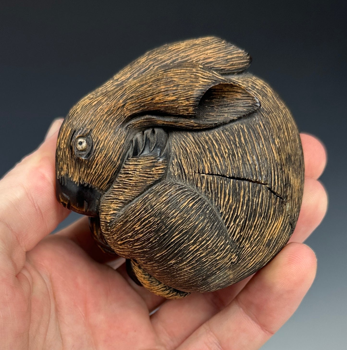 SOLD Rare Antique Japanese Carved Wood Rabbit Hare Okimono Marked Meiji 19th Century