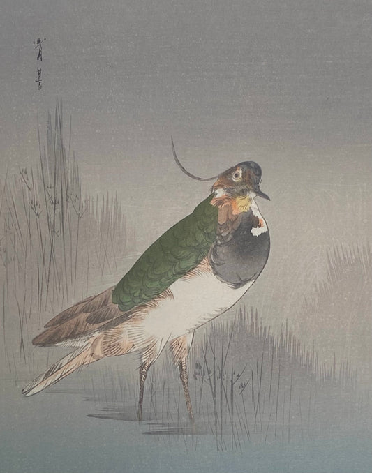 SOLD Antique Japanese Woodblock Print Watanabe Seitei “Green Waterfowl” Kabutoya