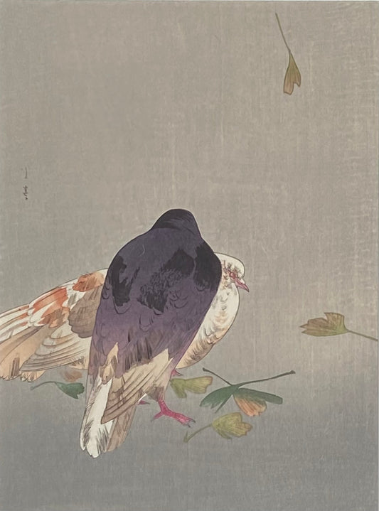 Antique Japanese Woodblock Print Watanabe Seitei “Pigeons” Kabutoya